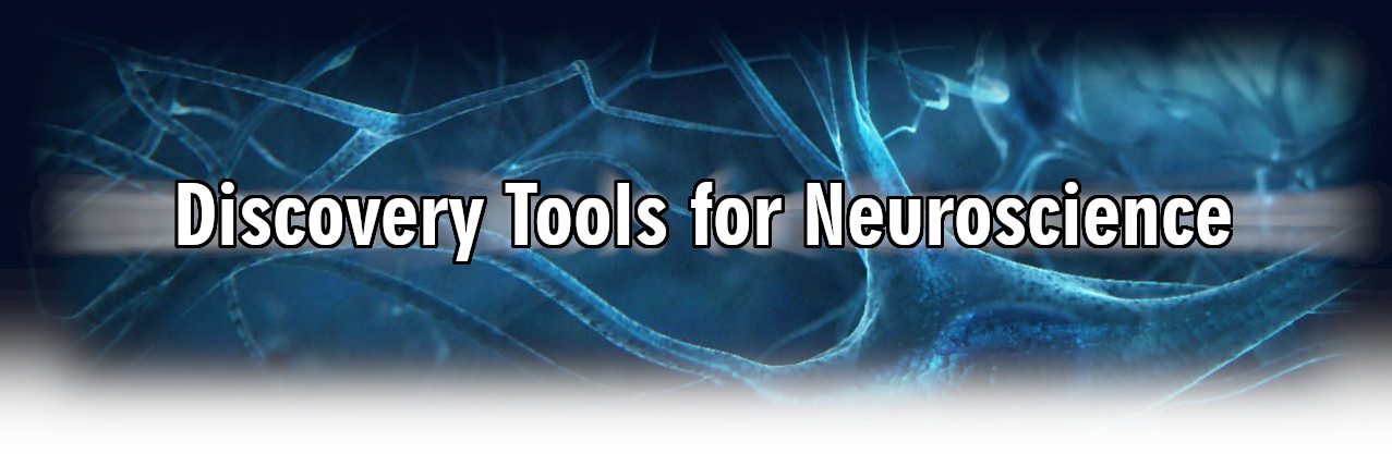 Neurons-Wallpapers-Top-Free-Neurons-Backgrounds-.jpg