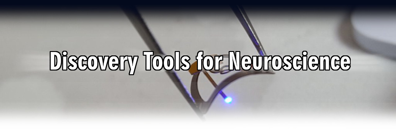 CREATOR: gd-jpeg v1.0 (using IJG JPEG v62), quality = 82